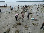 Polres Nisel Kembali Melaksanakan Penanaman Pohon Mangrove – Deliknews.com