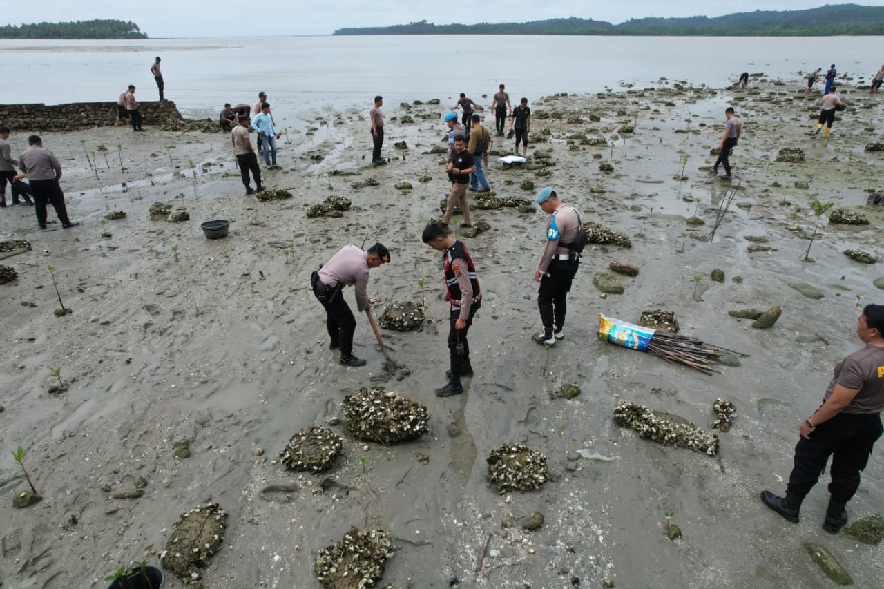 Polres Nisel Kembali Melaksanakan Penanaman Pohon Mangrove – Deliknews.com