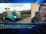 Petani Ungkap Hambatan dalam Rencana Produksi Biofuel dari Tebu oleh RI