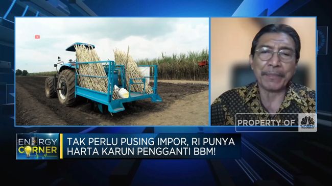 Petani Ungkap Hambatan dalam Rencana Produksi Biofuel dari Tebu oleh RI