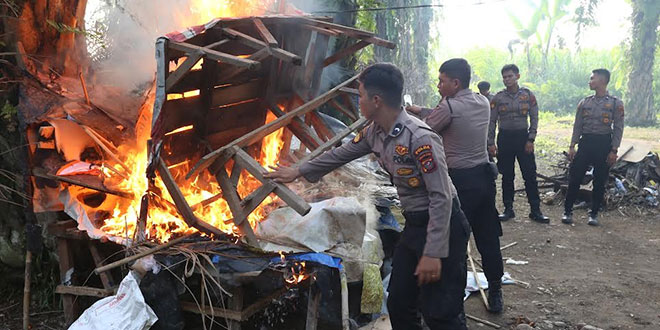 12 Orang Ditangkap Polda Sumut dalam Penggerebekan Gubuk Narkoba di Kampung Banten Sei Mencirim