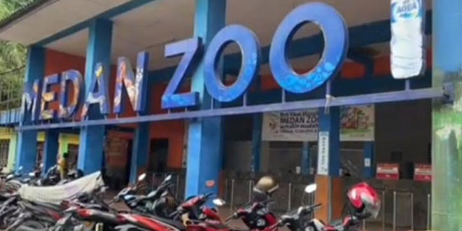 Penundaan Penutupan Medan Zoo Memberikan Harapan Saat Libur Lebaran – Waspada Online