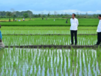 Aktivis Papua Menuntut Dihentikannya Proyek Satu Juta Hektar Sawah di Merauke